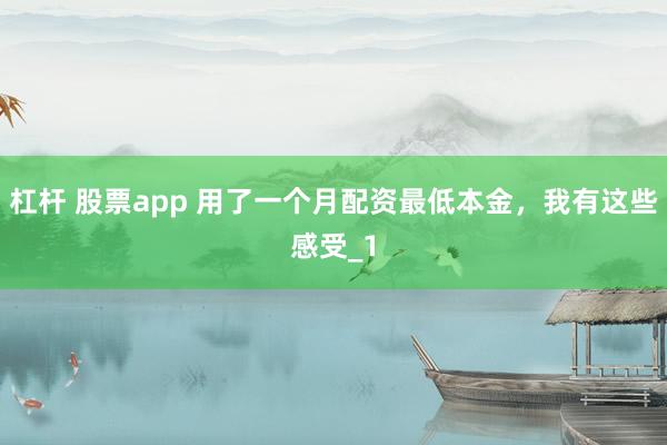 杠杆 股票app 用了一个月配资最低本金,我有这些感受_1